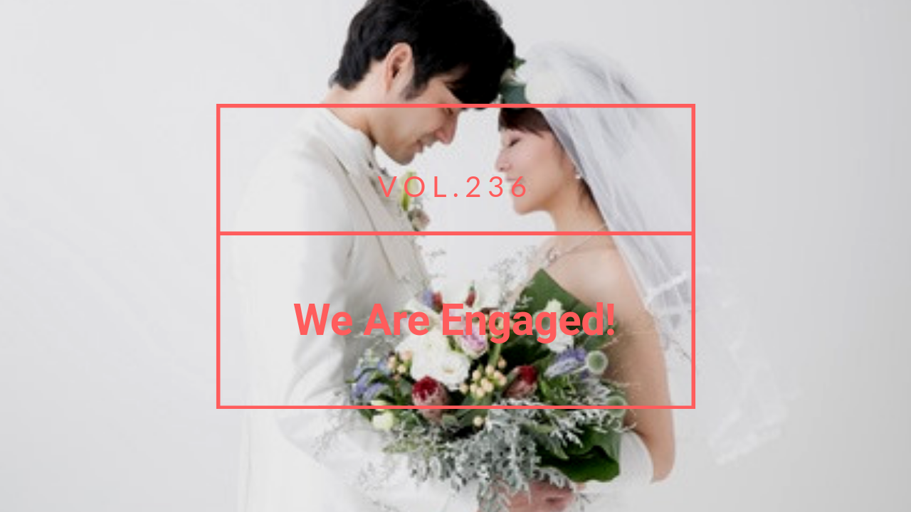 Marry a Japanese Womann: We Are Engaged!