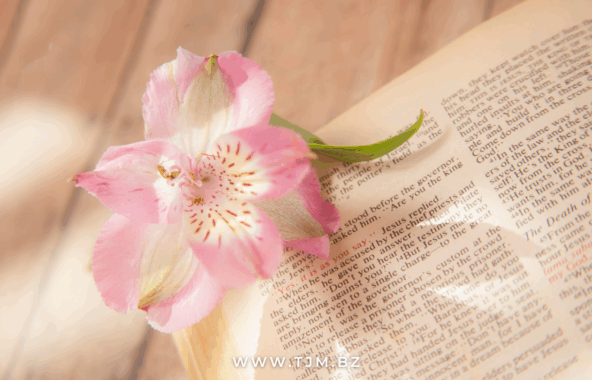 How Can I Meet Christian Japanese Women?