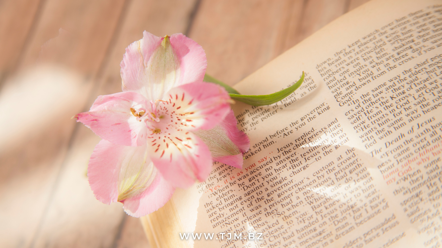 How Can I Meet Christian Japanese Women?