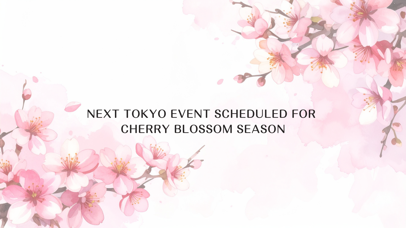 Next Tokyo Event Scheduled for Cherry Blossom Season