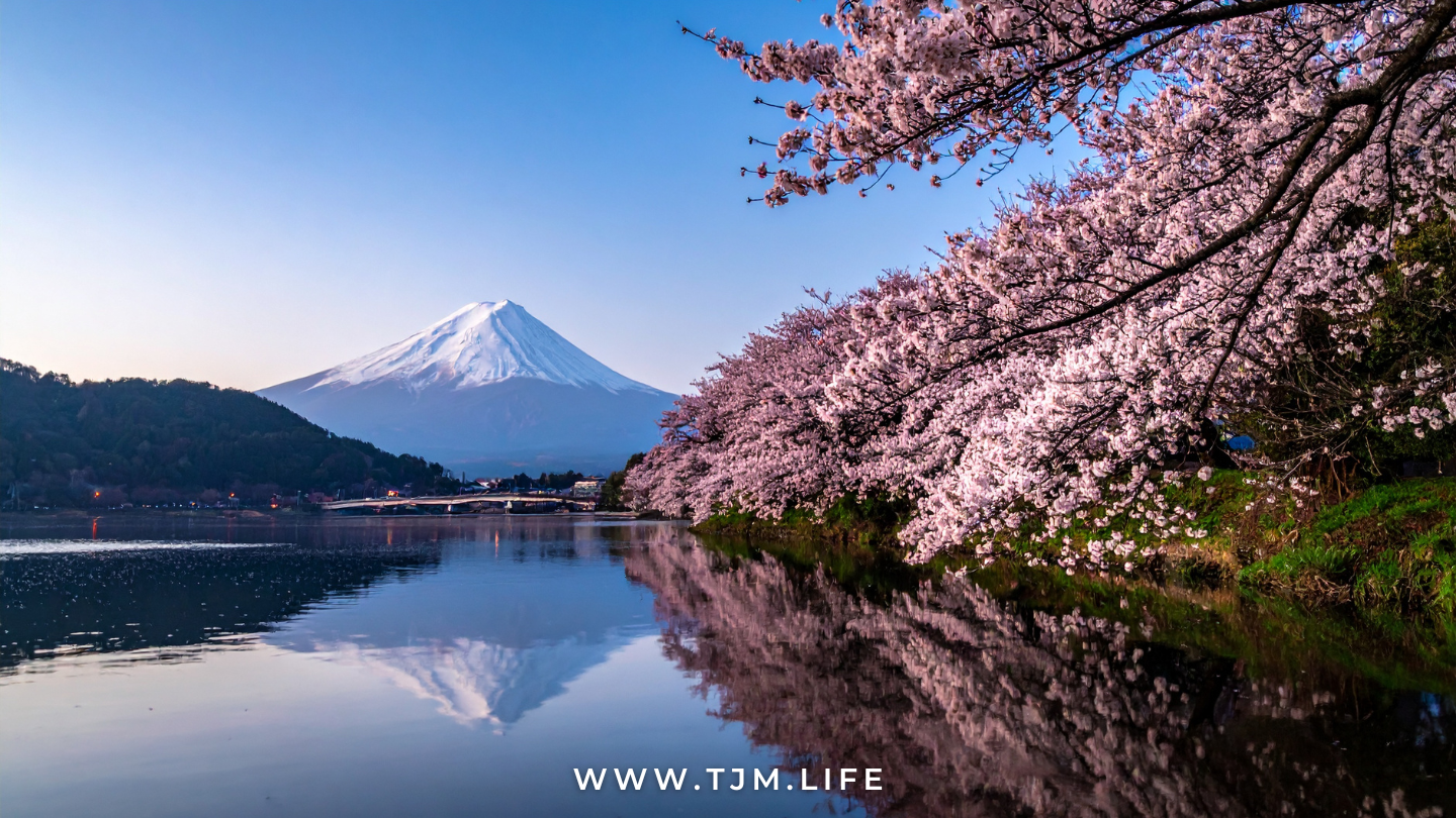 Meet & Greet: Spring in Tokyo 2026 | Meet Japanese Women - Traditional Japanese Matchmaker Meet & Greet: Spring in Tokyo 2026