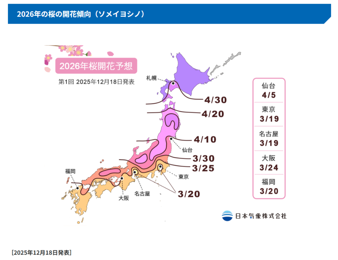 cherry blossom in japan 2026 | Meet Japanese Women - Traditional Japanese Matchmaker cherry blossom in japan 2026